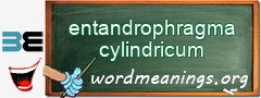 WordMeaning blackboard for entandrophragma cylindricum